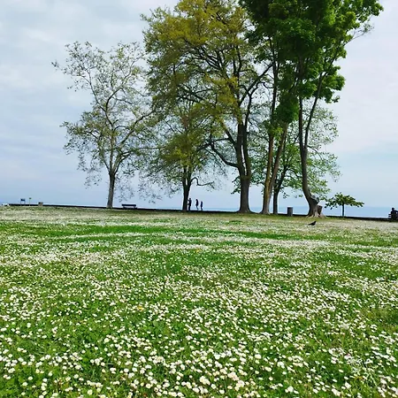 L'escale Du Leman *