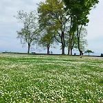 L'escale Du Leman *