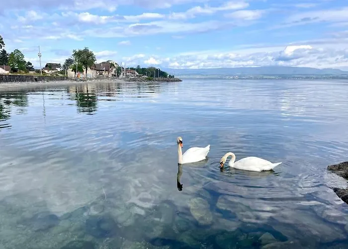 L'escale Du Leman Daire *