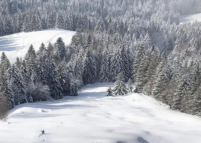 Daire L'escale Du Leman
