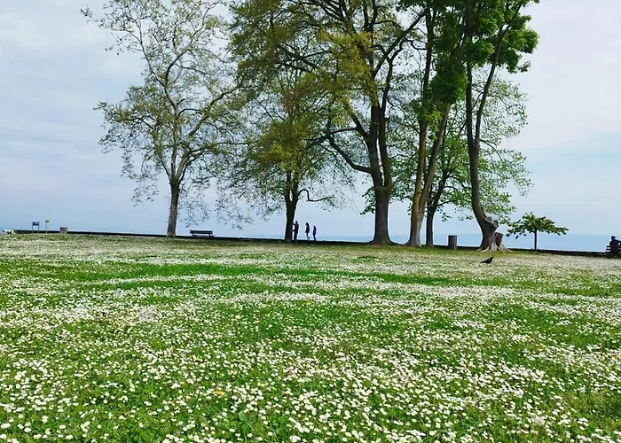 L'escale Du Leman *